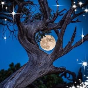 Meet your Posher, Marion